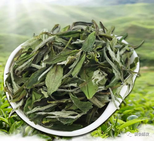 秋月圈枝小青柑白茶 陳皮人家匠心呈現的茶界珍品