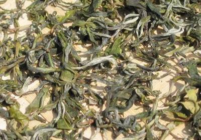 精制茶 毛茶與炭焙茶的獨特定位與特點解析
